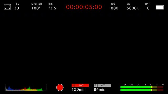 Professional Camera Monitor Recording Screen On Alpha