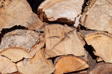Split wood from trees, ends of logs stacked, close-up
