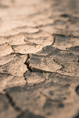 Dry cracked mud on the ground