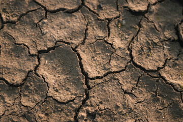 Dry, cracking mud on a summers day