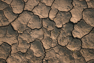 Dry cracked soil