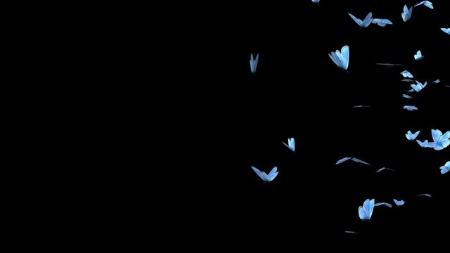 Group of Blue Flying Butterflies. Animated video. 4k