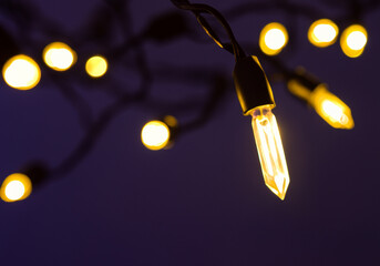 Bright string lights, no colors, warm and festive