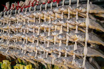 Korea fish food dried yellow corvina