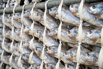 Korea fish food dried yellow corvina