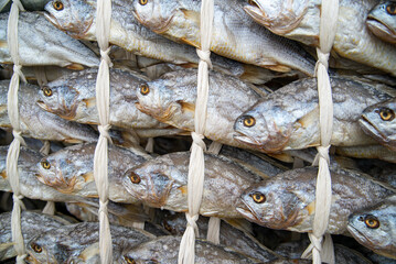 Korea fish food dried yellow corvina