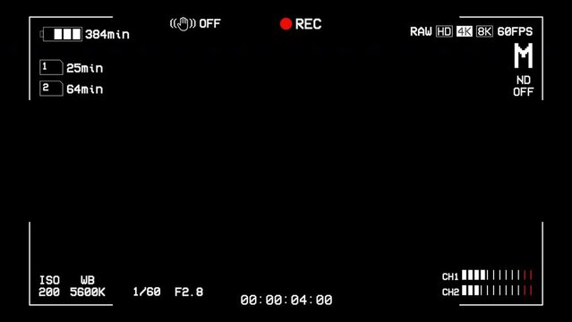 Camera Recording Screen On Alpha