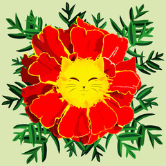 Marigold flower with a cat's face. Tagetes cute face.
