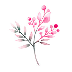 Watercolor illustration of pink Christmas plant isolated on white background.