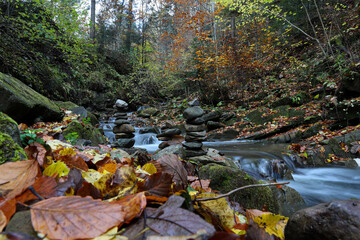 fallen brown leaves and pyramids of stones on the bank of a mountain stream in autumn
