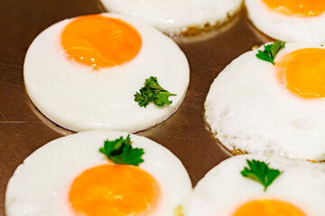 Eggs fried round shaped with parsley on metal surface, close-up, selective focus