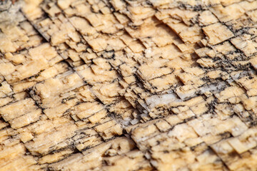 Crystals of mineral Icelandic spar close-up, selective focus