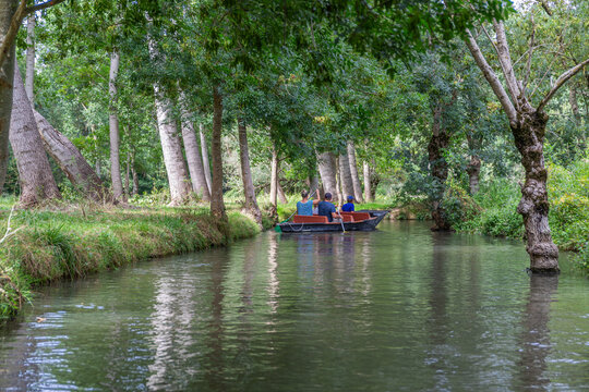 Beaut&eacute; du Marais poitevin, lors d'une promenade en barque au d&eacute;part de Coulon