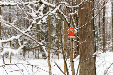Bird feeder on a tree branch in a winter forest or park. High quality photo