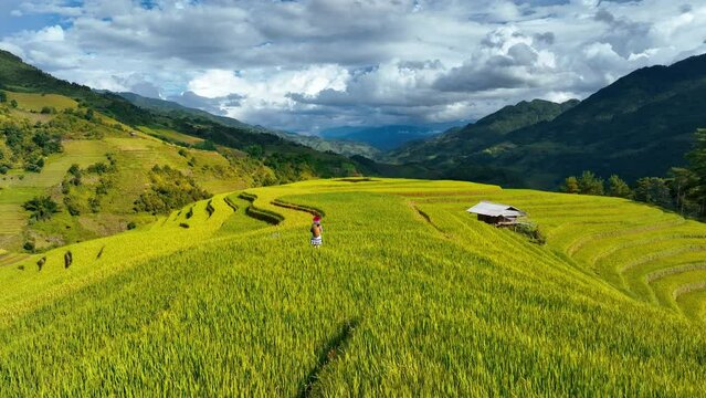 Hmong ethnic minority women walking on rice terraces in Mu Cang Chai, Yen Bai, Vietnam.