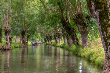 Beauté du Marais poitevin, lors d'une promenade en barque au départ de Coulon