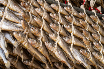 Korea fish food dried yellow corvina