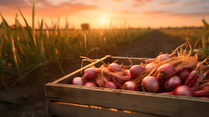 Red onions harvested in a wooden box with field and sunset in the background. Natural organic fruit abundance. Agriculture, healthy and natural food concept. Horizontal composition.