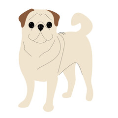 Obraz na płótnie Canvas Cute pug. Vector hand drawn dog isolated on white background. Purebred pet.