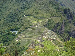 [Peru] Machu Picchu overlooking from the top of Huayna Picchu mountain