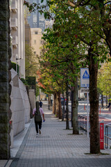 Obraz premium 東京の赤坂9丁目の紅葉の歩道