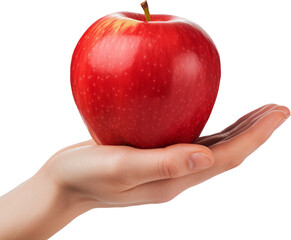 Apple on hand transparent background PNG clipart