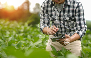 Hands of farmer, Agriculture technology farmer man using tablet Modern technology concept agriculture.