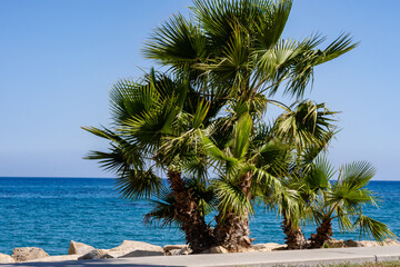 Fototapeta na wymiar Cyprus is a beautiful island in the eastern Mediterranean!! Cyprus Island, 07-10-2021