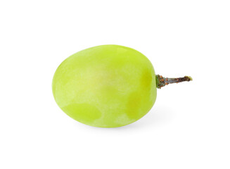One ripe green grape isolated on white