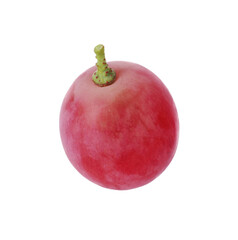 One ripe red grape isolated on white