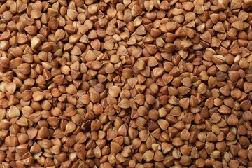 Dry buckwheat grains as background, top view