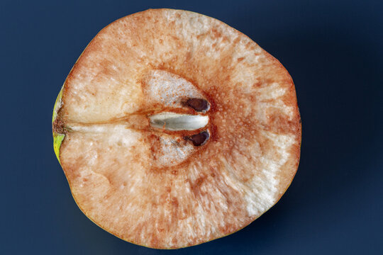 Fruit of the quince tree open with seeds. Cydonia oblonga.
