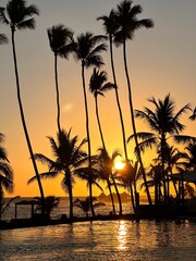tropical wild beach with palm trees during sunset