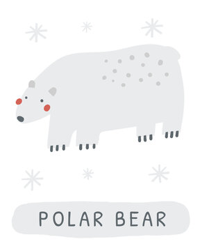 Winter flashcard. Learning English words for kids. Cute hand drawn doodle educational card with polar bear. Preschool learning material