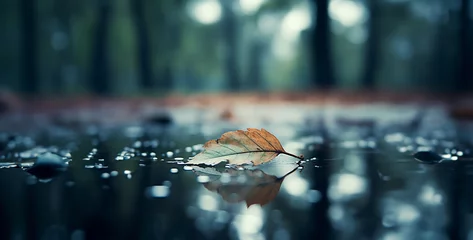 Fotobehang water drops on the window, leaf floating on water water drops on it rainy fog © Yasir