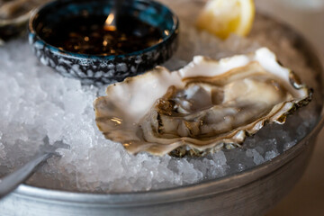 Fresh oysters on the halves of the shell are served in a plate with ice, lemons and sauce.