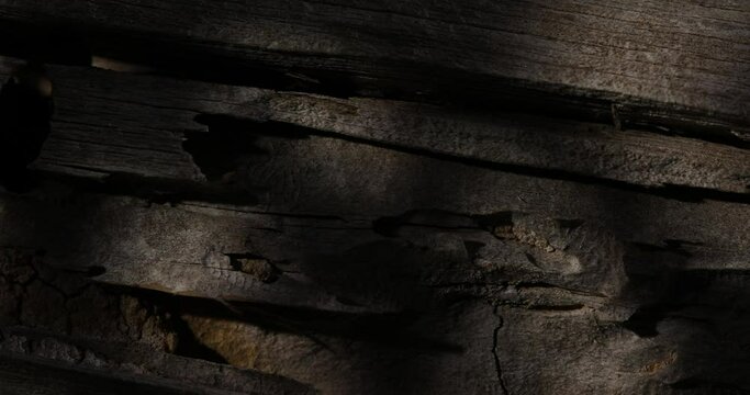Texture of weathered old wood with scratches and cuts. Damaged aged rough timber in dark indoors. Structure of scabrous pattern of wooden aged surface with stains. log with bark beetle marks.