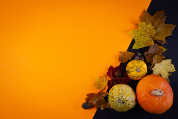 Autumn background with pumpkins, leaves and acorns on orange and black background