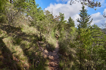 Walking path at mount Ingino near Gubbio in Umbria, Italy