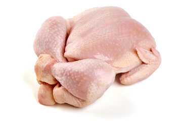 Raw whole chicken broiler, isolated on white background.