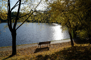 Lake in park in fall and bench on shore