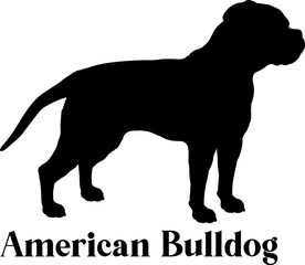 American Bulldog Dog silhouette breeds dog breeds dog monogram logo dog face vector
SVG PNG EPS