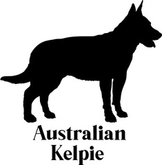 Australian Kelpie Dog silhouette breeds dog breeds dog monogram logo dog face vector
SVG PNG EPS