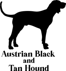 Austrian Black and Tan Hound Dog silhouette breeds dog breeds dog monogram logo dog face vector
SVG PNG EPS