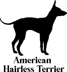 American Hairless Terrier. Dog silhouette breeds dog breeds dog monogram logo dog face vector
SVG PNG EPS