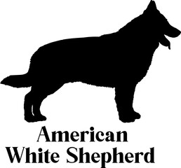  American White Shepherd Dog silhouette breeds dog breeds dog monogram logo dog face vector
SVG PNG EPS