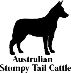  Australian Stumpy Tail Cattle. Dog silhouette breeds dog breeds dog monogram logo dog face vector
SVG PNG EPS