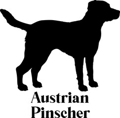 Austrian Pinscher Dog silhouette breeds dog breeds dog monogram logo dog face vector
SVG PNG EPS