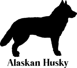 Alaskan Husky. Dog silhouette breeds dog breeds dog monogram logo dog face vector
SVG PNG EPS