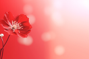 Soft focus of a flower on a red background in the style of bokeh panorama with copy space